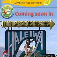 haleiwa sign  100